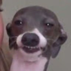 Meet your Posher, Ak